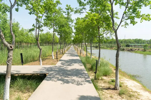 Çin 'deki Şehir Parkı yolu.