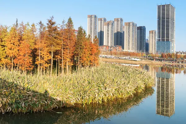 Çin 'deki Lakeside modern ofis binası