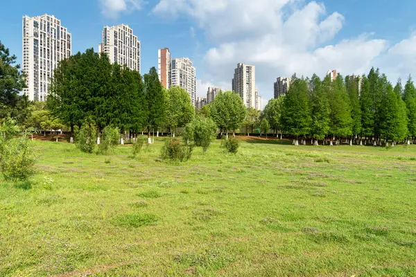 Yeşil şehir parkının güzel manzarası