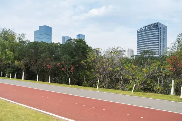 Yeni patika ve güzel ağaçlar parkta koşmak, yürümek ve bisiklete binmek için iz sürüyor. 