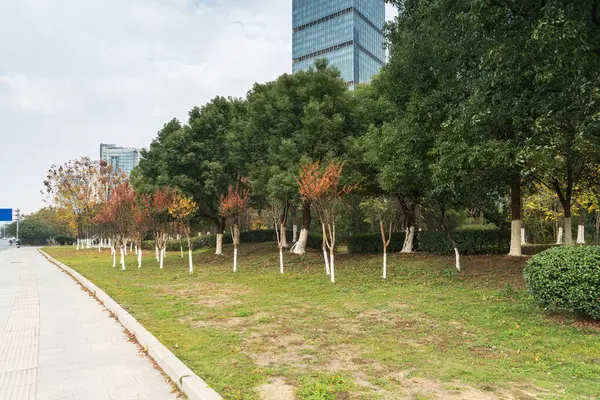 Şangay 'da modern bina geçmişi olan şehir parkı.