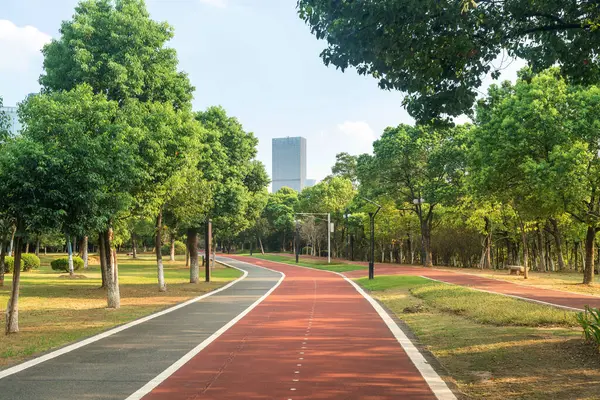 Yeni patika ve güzel ağaçlar parkta koşmak, yürümek ve bisiklete binmek için iz sürüyor. 