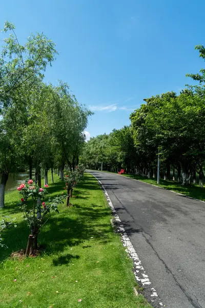 Yeni patika ve güzel ağaçlar parkta koşmak, yürümek ve bisiklete binmek için iz sürüyor. 