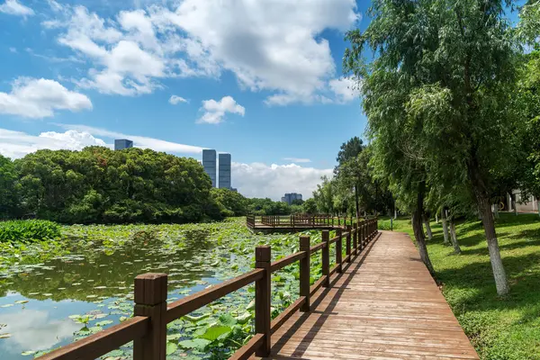 Bahar Parkı ve modern şehir