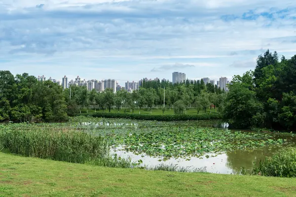 Bahar Parkı ve modern şehir