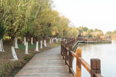 Şehir parkında tahta kaldırım. 