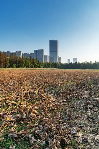 Bahar Parkı ve modern şehir