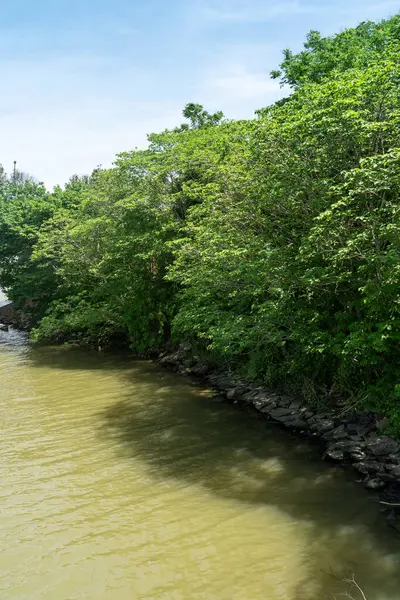 Parktaki göletin çevresi yemyeşil