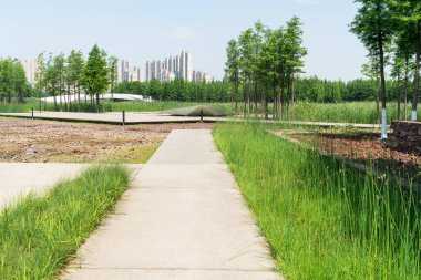 Çin 'deki Şehir Parkı yolu.