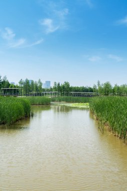 Çin 'deki Lakeside modern ofis binası