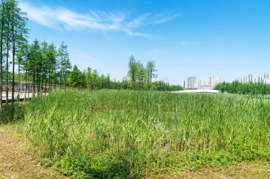 Bahar Parkı ve modern şehir