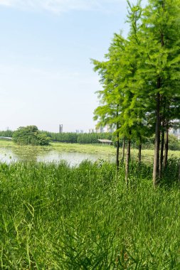 Bahar Parkı ve modern şehir