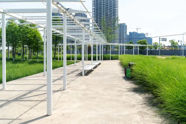 Bahar Parkı ve modern şehir