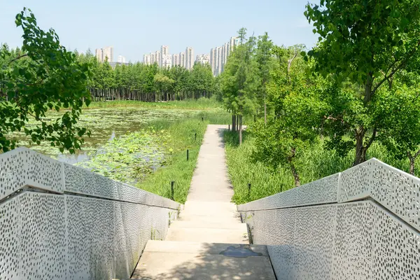 Çin 'deki Şehir Parkı yolu.