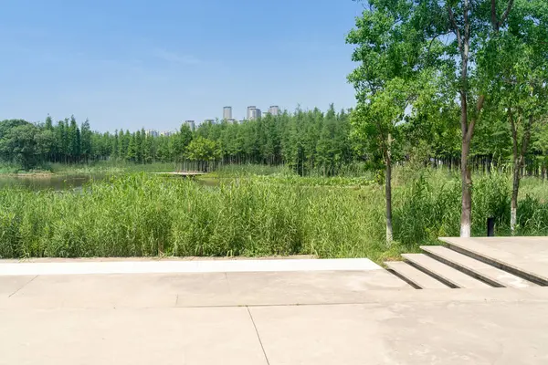 Bahar Parkı ve modern şehir