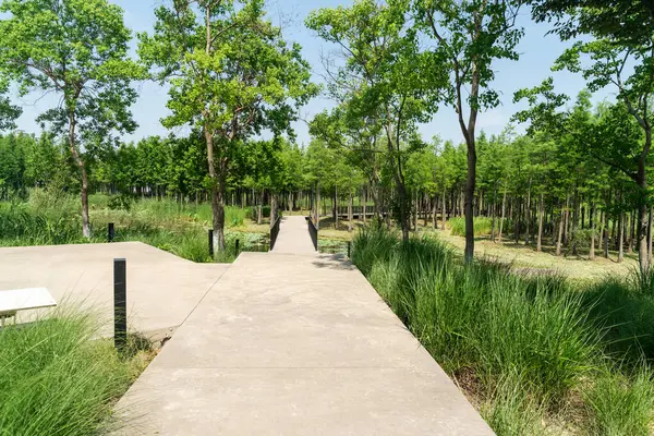 Çin 'deki Şehir Parkı yolu.