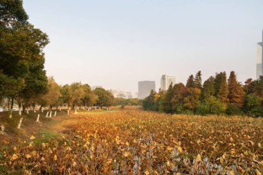 Bahar Parkı ve modern şehir