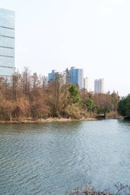 Çin 'deki Lakeside modern ofis binası