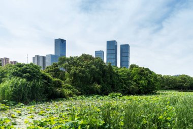 Çin 'deki Lakeside modern ofis binası