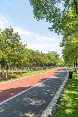 Yeni patika ve güzel ağaçlar parkta koşmak, yürümek ve bisiklete binmek için iz sürüyor. 
