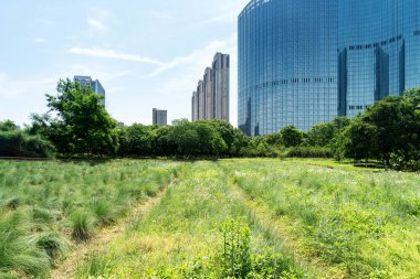 Şangay 'da modern bina geçmişi olan şehir parkı.