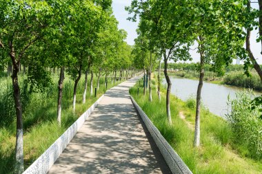 Çin 'deki Şehir Parkı yolu.