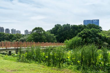 Bahar Parkı ve modern şehir