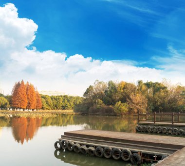 Güzel ve rahat bir bahçede, boş bir sokak. Güzel mavi gökyüzünün altında.