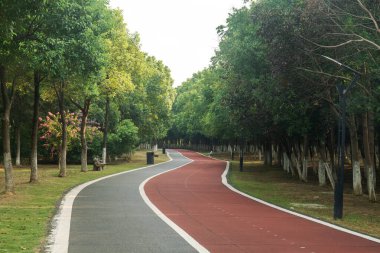 Yeni patika ve güzel ağaçlar parkta koşmak, yürümek ve bisiklete binmek için iz sürüyor. 