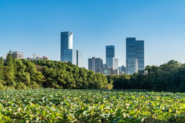 Bahar Parkı ve modern şehir