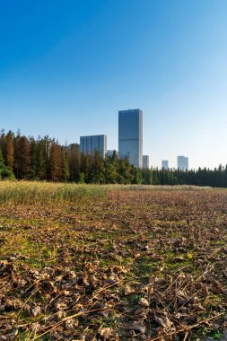 Şangay 'da modern bina geçmişi olan şehir parkı.
