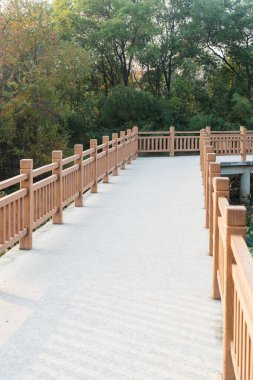 Çin 'deki Şehir Parkı yolu.