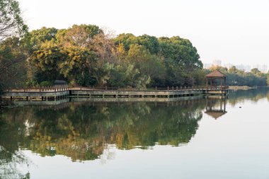 Parktaki göletin çevresi yemyeşil