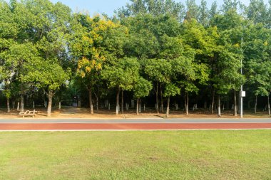 Yeşil şehir parkının güzel manzarası