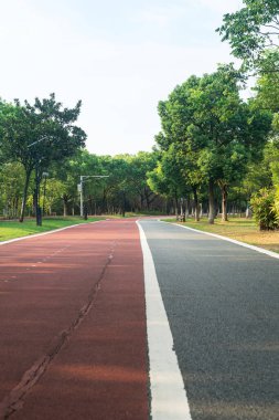Yeni patika ve güzel ağaçlar parkta koşmak, yürümek ve bisiklete binmek için iz sürüyor. 