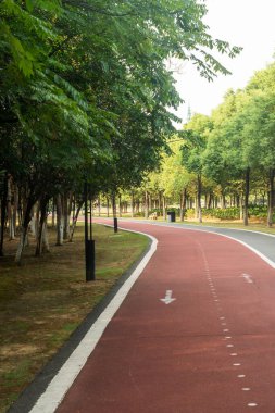 Yeni patika ve güzel ağaçlar parkta koşmak, yürümek ve bisiklete binmek için iz sürüyor. 