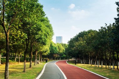 Yeni patika ve güzel ağaçlar parkta koşmak, yürümek ve bisiklete binmek için iz sürüyor. 