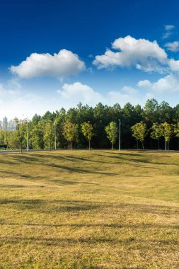 Yeşil şehir parkının güzel manzarası