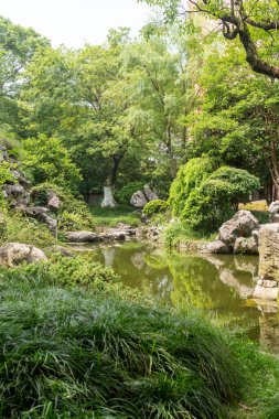 Parktaki göletin çevresi yemyeşil