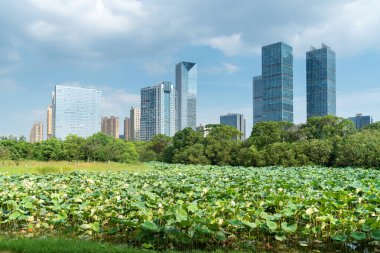 Şangay 'da modern bina geçmişi olan şehir parkı.