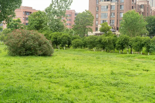 Bahar Parkı ve modern şehir