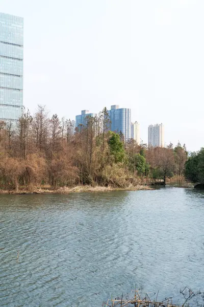 Çin 'deki Lakeside modern ofis binası