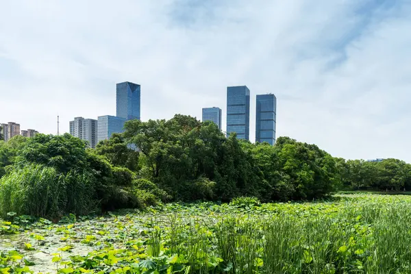 Çin 'deki Lakeside modern ofis binası