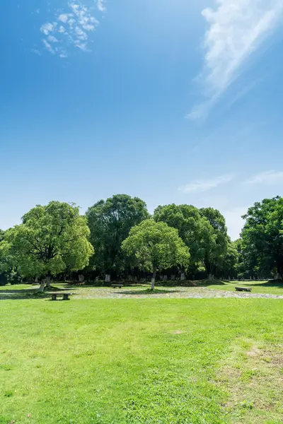 Yeşil şehir parkının güzel manzarası