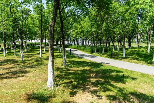 Çin 'deki Şehir Parkı yolu.