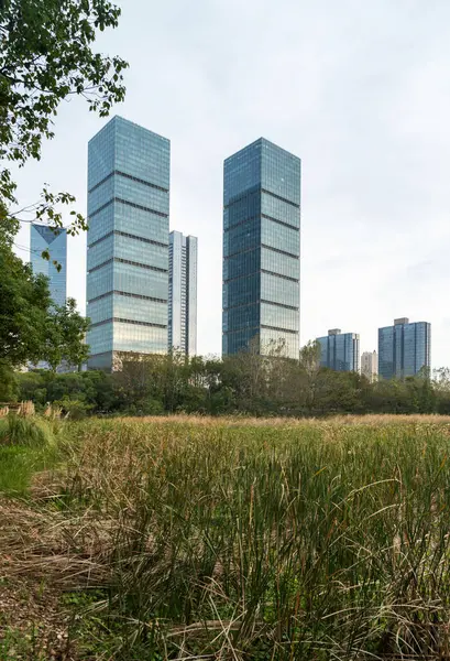 Şangay 'da modern bina geçmişi olan şehir parkı.