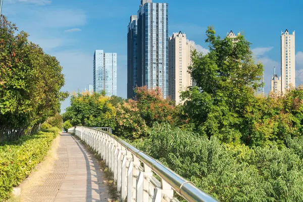 Modern şehirde yürüyüş yolu