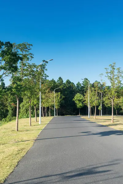 Çin 'deki Şehir Parkı yolu.