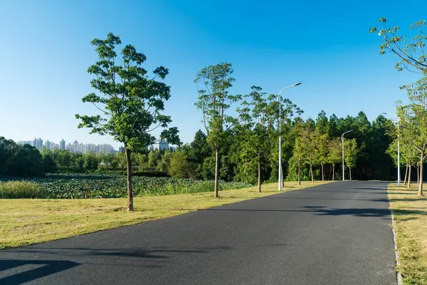 Çin 'deki Şehir Parkı yolu.