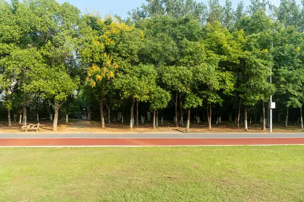 Yeşil şehir parkının güzel manzarası